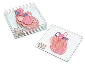 Anatomic Heart Specimen Coaster Set
