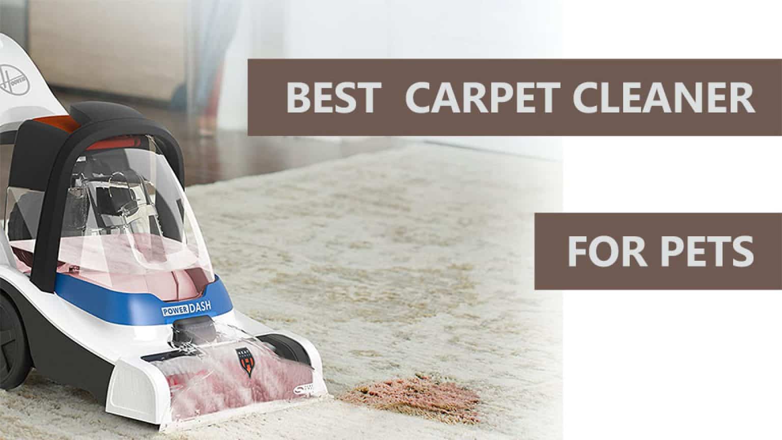 10 Best Carpet Cleaners for Pets Cool Things to Buy 247