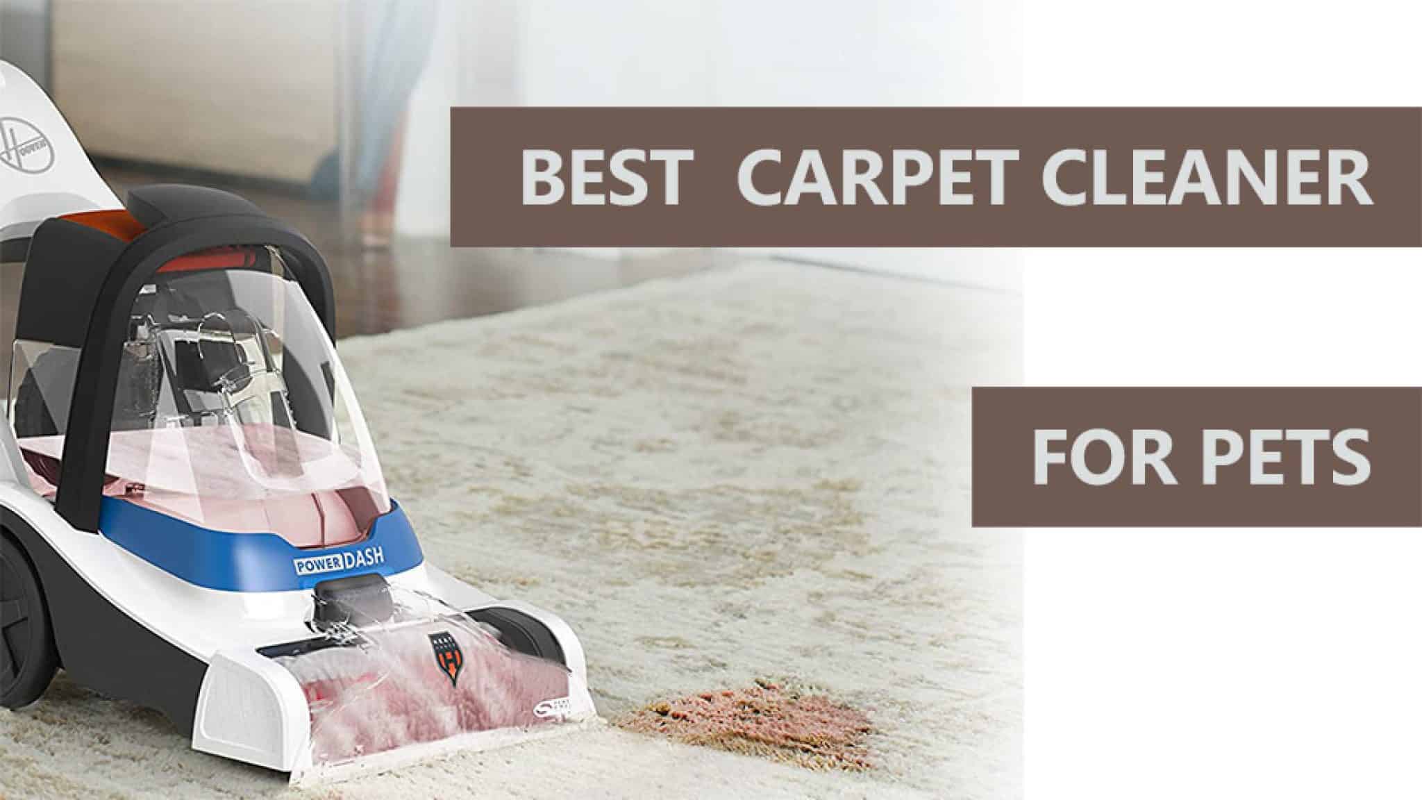 10 Best Carpet Cleaners for Pets Cool Things to Buy 247