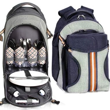 4 Person Picnic Backpack
