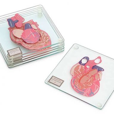 Anatomic Heart Specimen Coaster Set