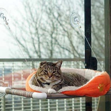 Cat Window Perch