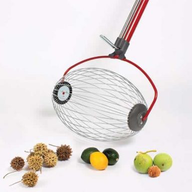 Garden Weasel Large Nut Gatherer